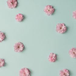 Pink flower pattern on blue pastel background