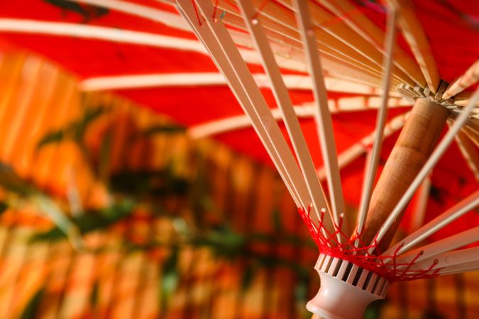 Traditional japanese umbrella, traditional japanese accessories concept