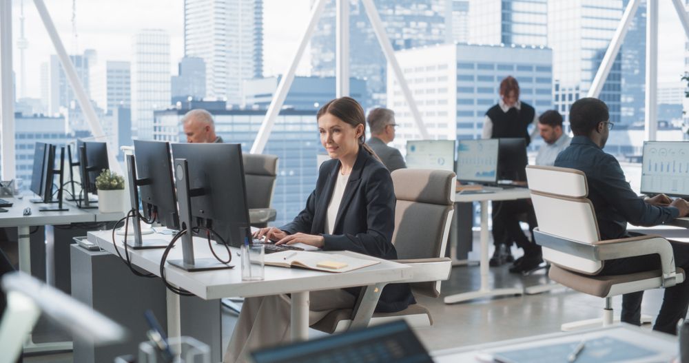 Woman Working In Consulting Company With Colleagues.