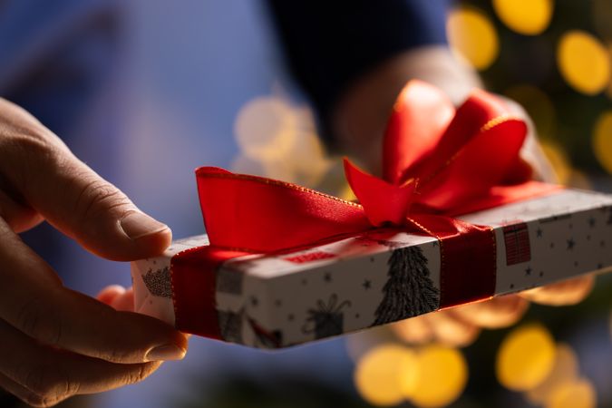 Christmas Gift in Male Hands