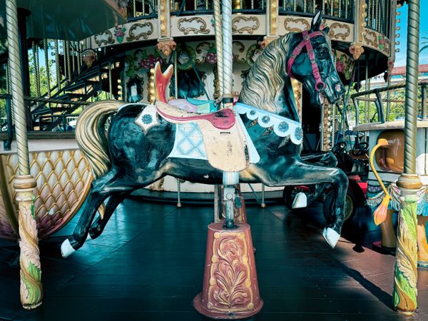 Stallion: Carousel 1900