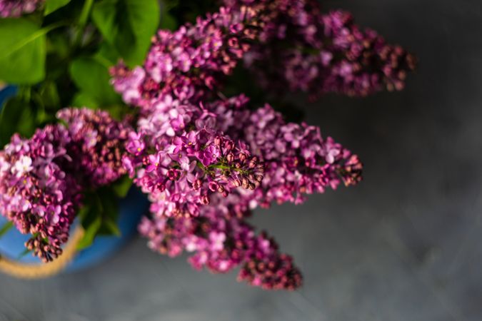Top view of vase of lilac flowers