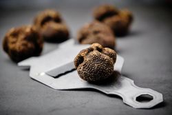 Truffle in Rolling Mill