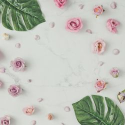 Pink flowers and leaves on marble background