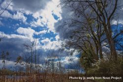Blue sky and clouds shot lake side from marsh 48EYJb