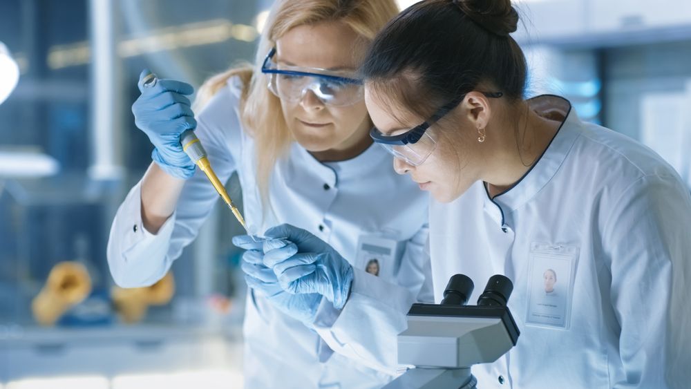 Medical Research Scientist Drops Sample on Slide and Her Colleague Examines it Under Microscope.