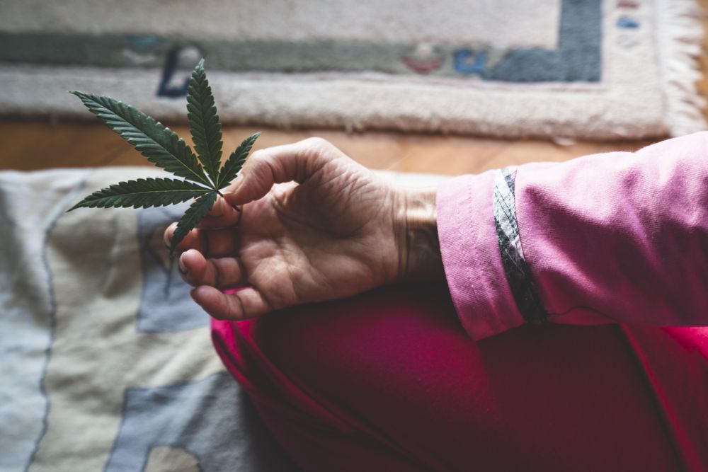 Woman holding marijuana leaf