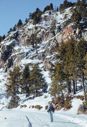 Man walking between hills with trees in winter