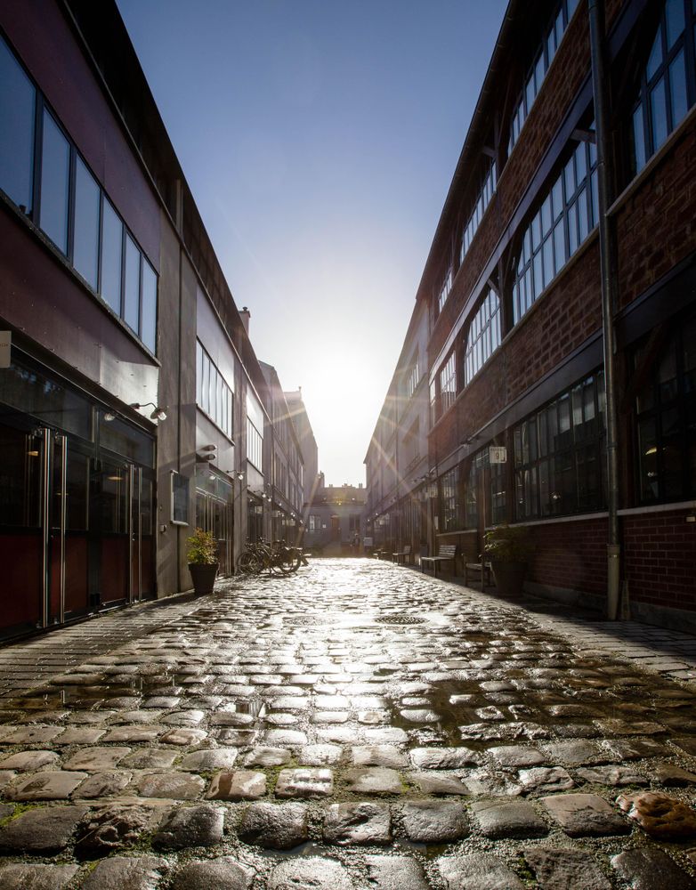 Empty alley during daytime
