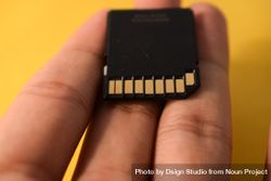 SD card lying on person's fingers 4Odnz7
