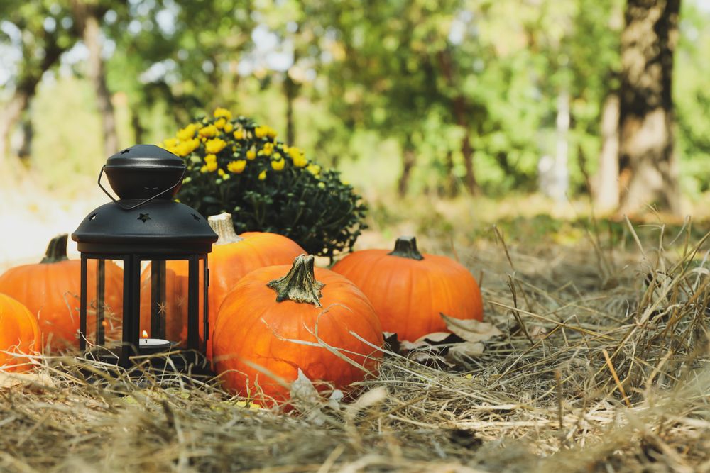 Cozy autumn concept with pumpkins and candle outdoor