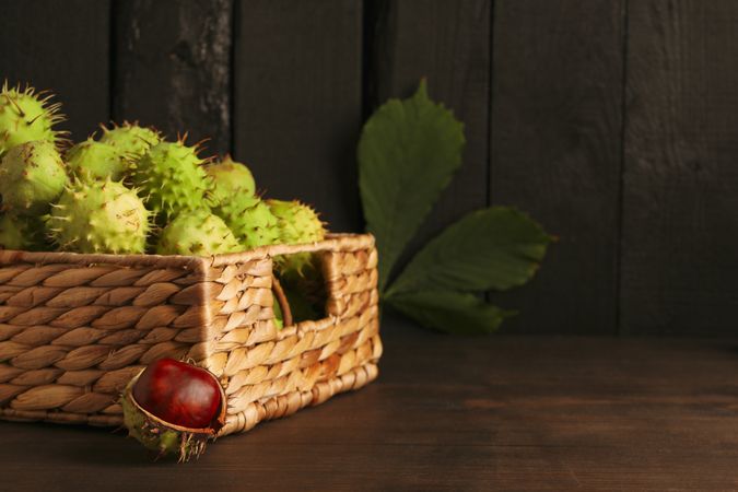 Fresh and ripe chestnuts, space for text