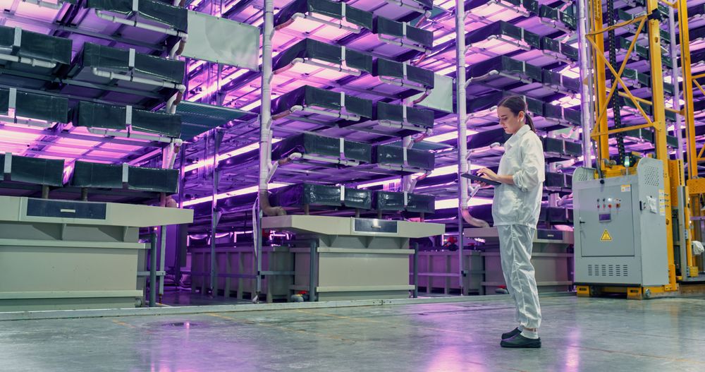 Young Female Farmer Standing in a Vertical Farm Facility with LED Lights. Hydroponics Technician Using a Tablet Computer, Studying and Cultivating Plants, Planning Delivery of Greens To Supermarkets.