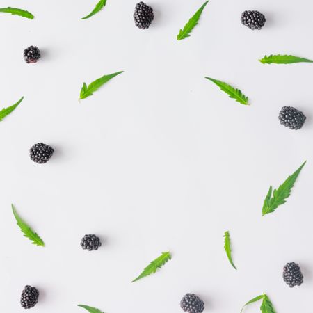 Pattern of blackberry fruit and leaves on light background