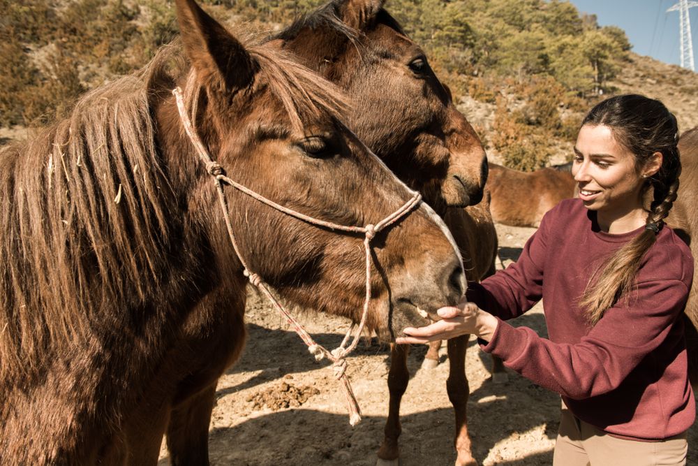 Smiling woman feeding horse