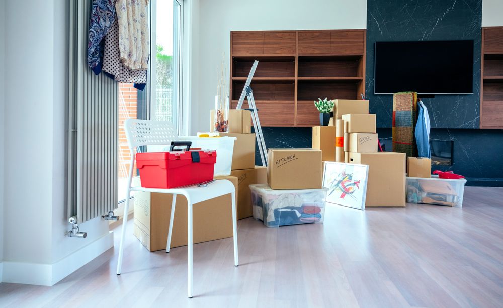 Living room with moving boxes