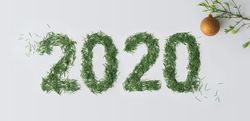 “2020” in pine needles on light background with bauble