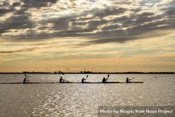 Silhouette of people kayaking in sea during sunset 47zwB5