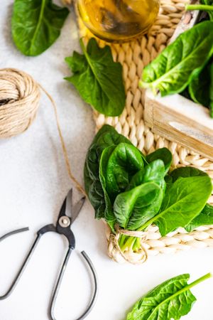 Bunches of spinach leaves with oil on rattan placemat