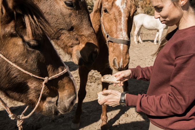 Smiling woman feeding horse