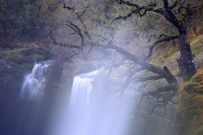 Autumn tree and waterfall