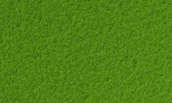 Top view of plain field of grass