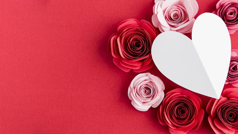 Valentine’s day concept with roses