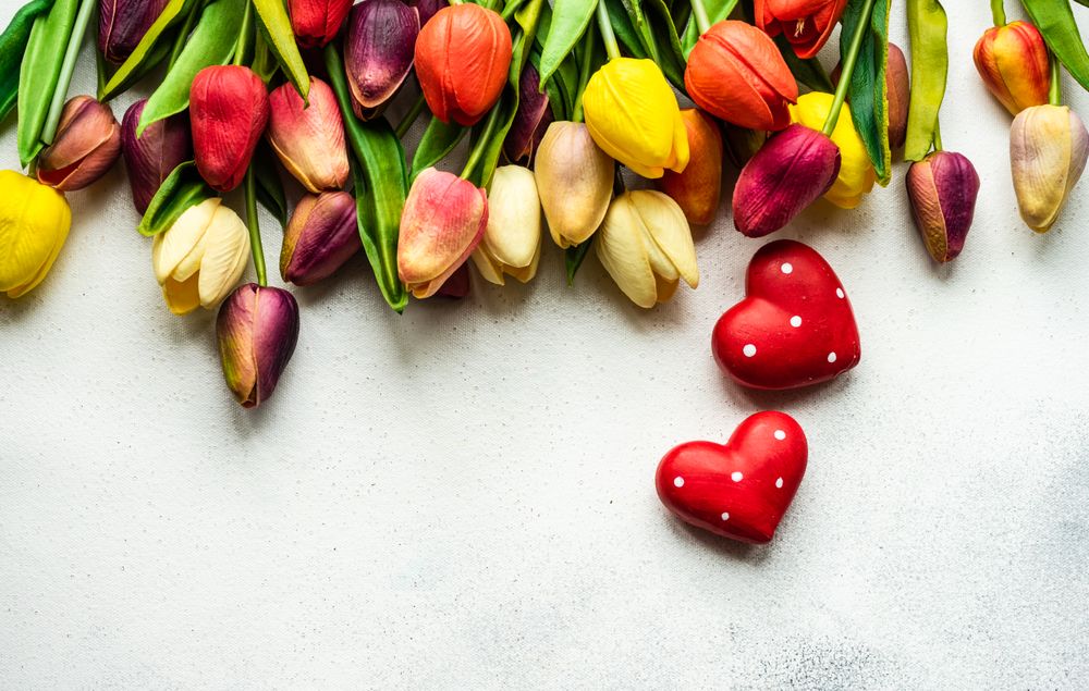 Tulips and dotted heart ornaments on grey counter