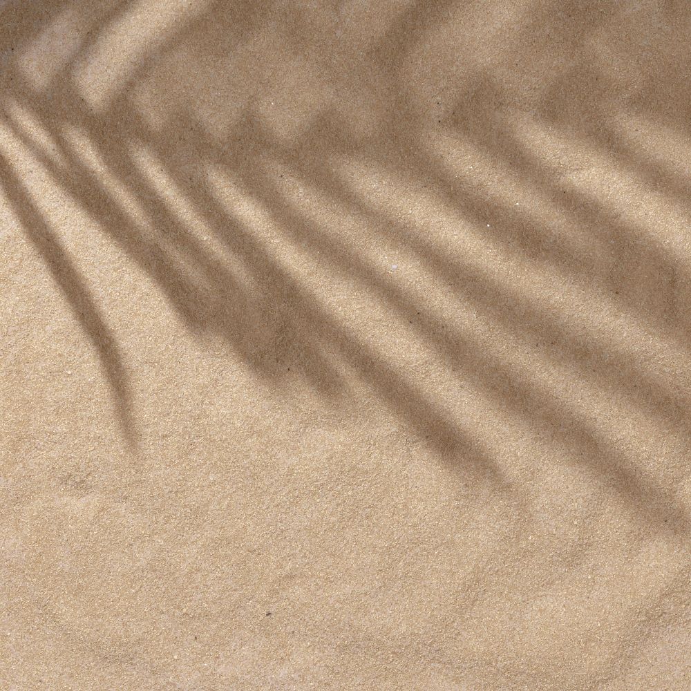 Sand with palm leaf shadows