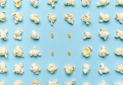 Popcorn flakes and corn kernels aligned on a blue background