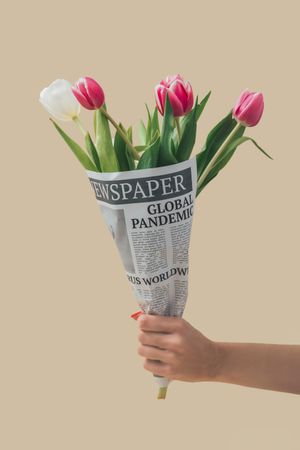 Hand holding spring tulips flowers wrapped in newspapers with Global Pandemic headline