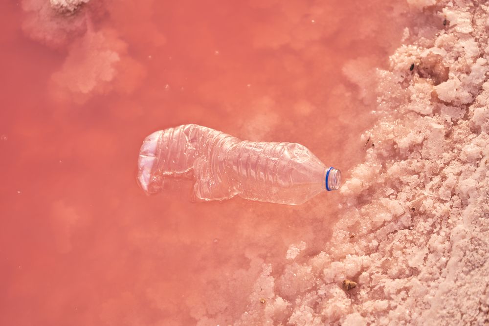 Plastic bottle in polluted sea water