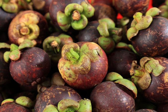 Close Up Fresh Mangosteen or Known as The Queen of Fruits