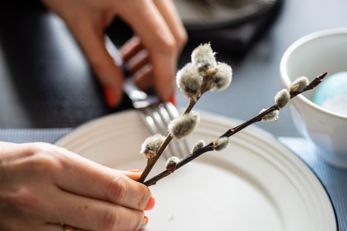 Hands of woman holding pussy willow from Easter table setting