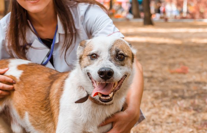 Woman holding light and brown coated dog