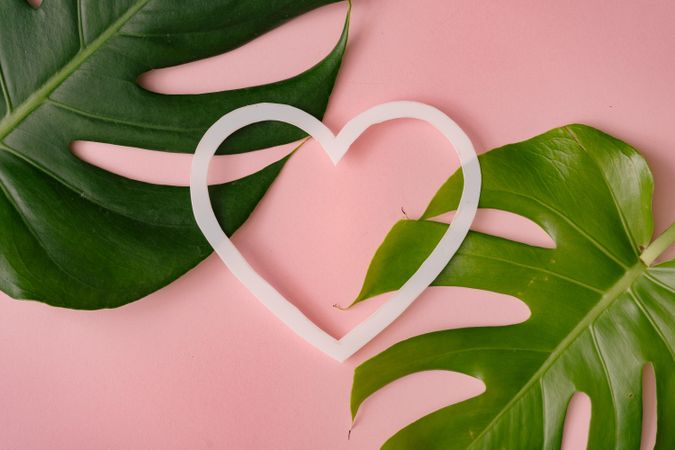 Monstera leaves on pastel coral background with heart shape