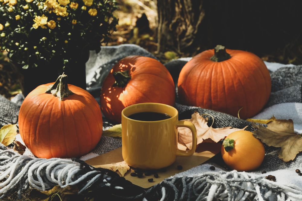 Cozy autumn concept with pumpkins and cup of coffee outdoor