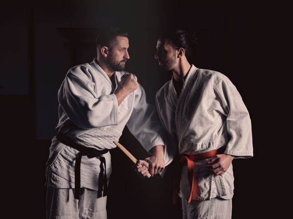 Determined sportsmen practicing self defense technique during judo training