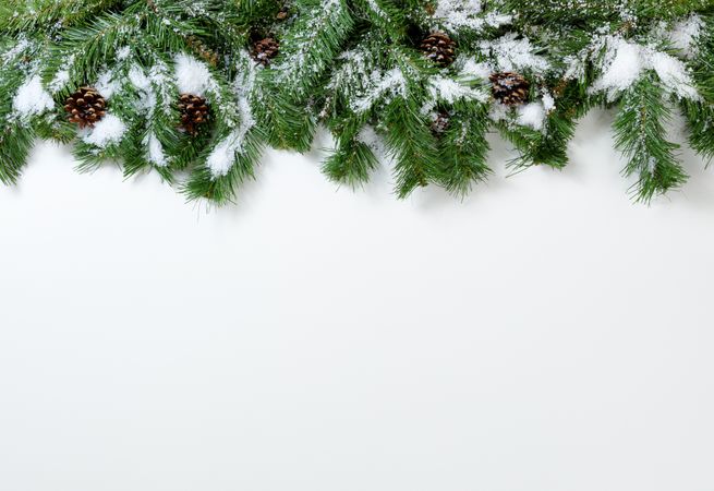 Christmas snowy tree branches and pine cones