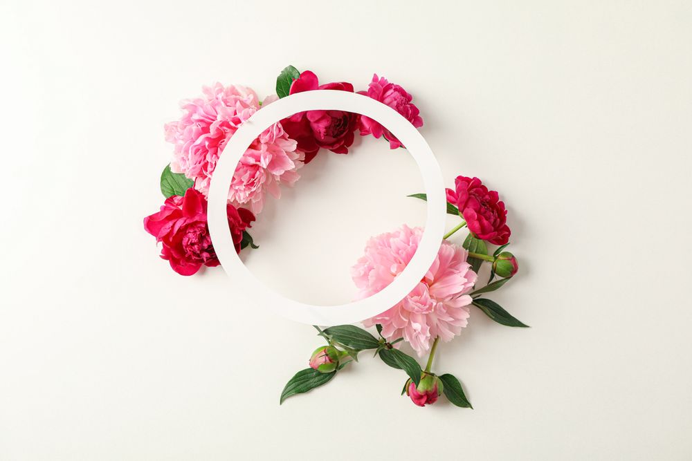 Flat lay composition with beautiful peonies and paper circle in the center on bright background, space for text and top view