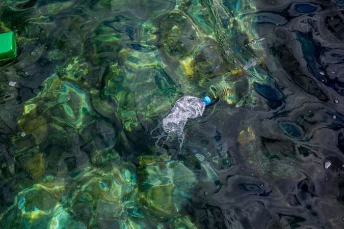 Plastic bottle floating on water
