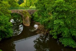 Tranquil river in green vegetation with aged bridge