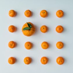 Pattern of tangerines and orange on light  background