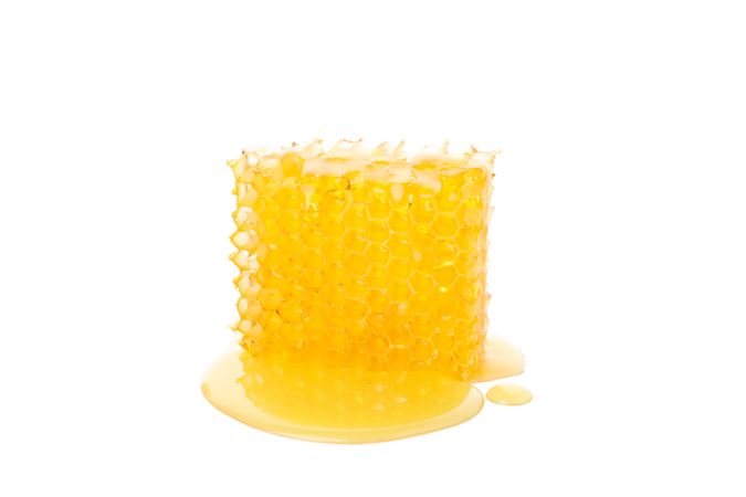 Piece of honeycomb isolated on blank background, close up