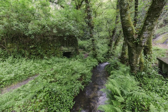Old water mill in the forest, wooden bridge over stream