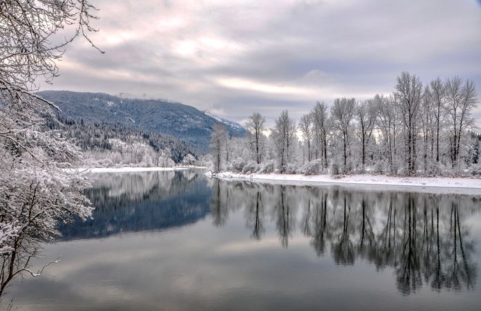 Snow covered trees near lake under cloudy sky with reflection on water