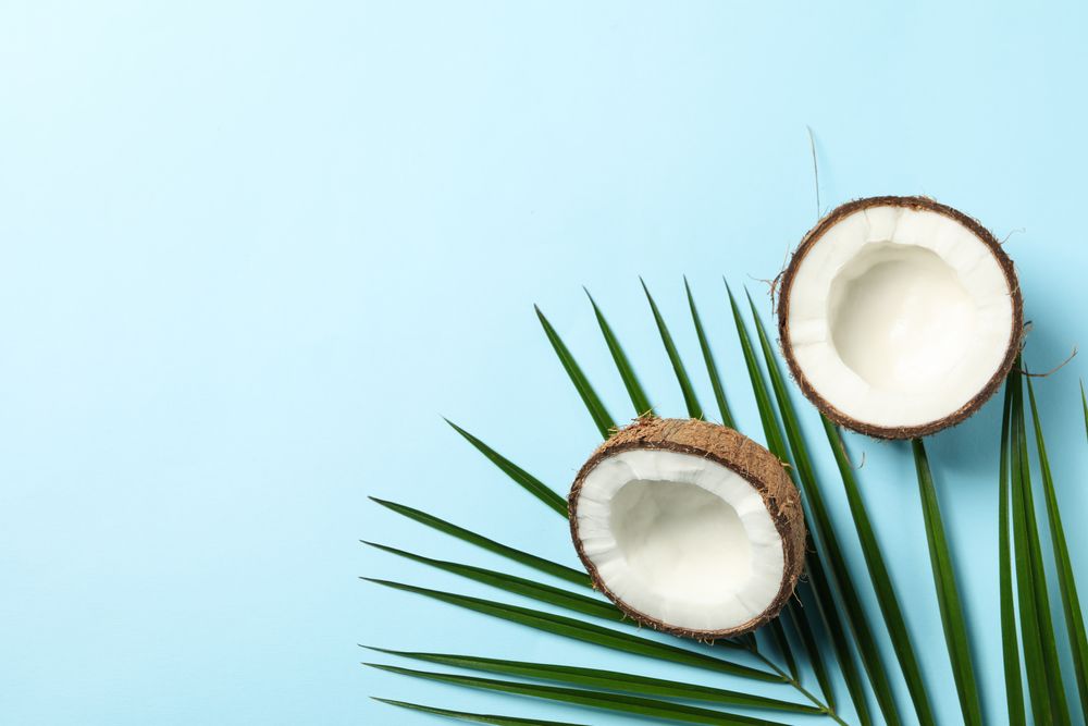 Coconut and palm branch on blue background, top view