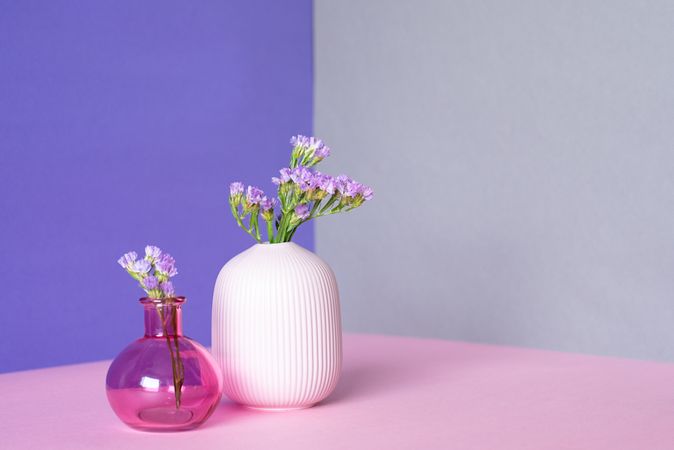 Violet sea lavender flowers in a multicolor background