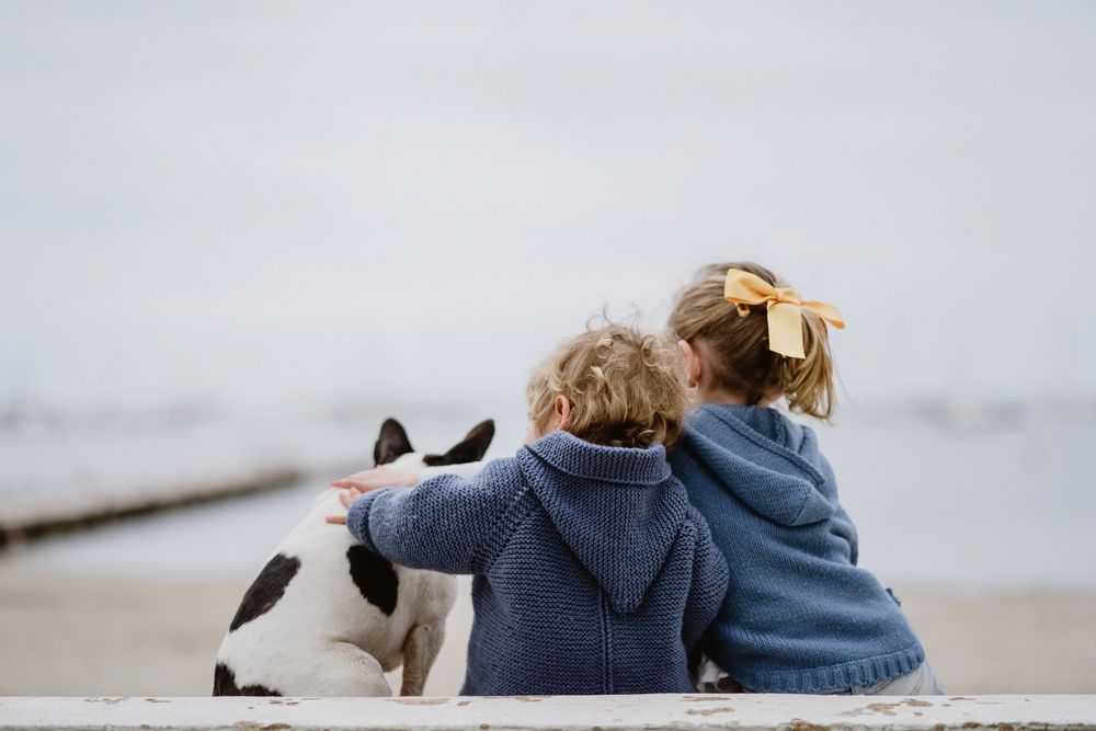 Kids hugging dog on beach