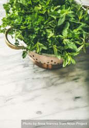 Colander full of fresh green herbs, vertical composition, copy space bEEv7b